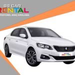 Peugeot 301 Dizel Manuel